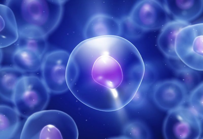 تاثیر فاکتور رشد اپیدرمی (EGF) در PRP